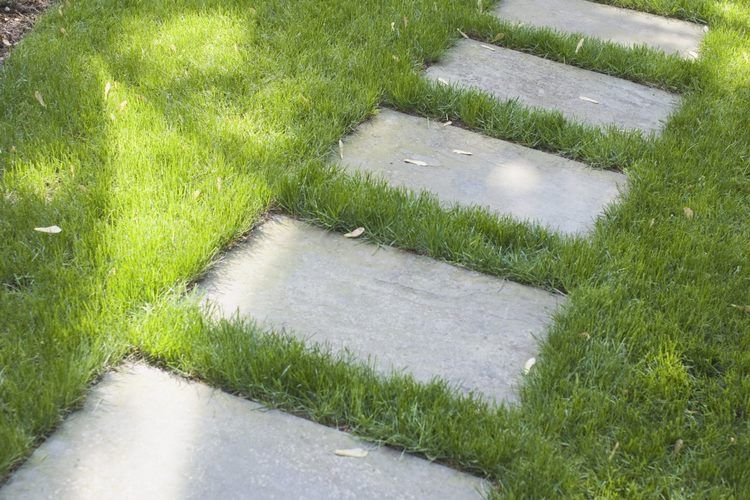 Durmiente Liso - Image 4