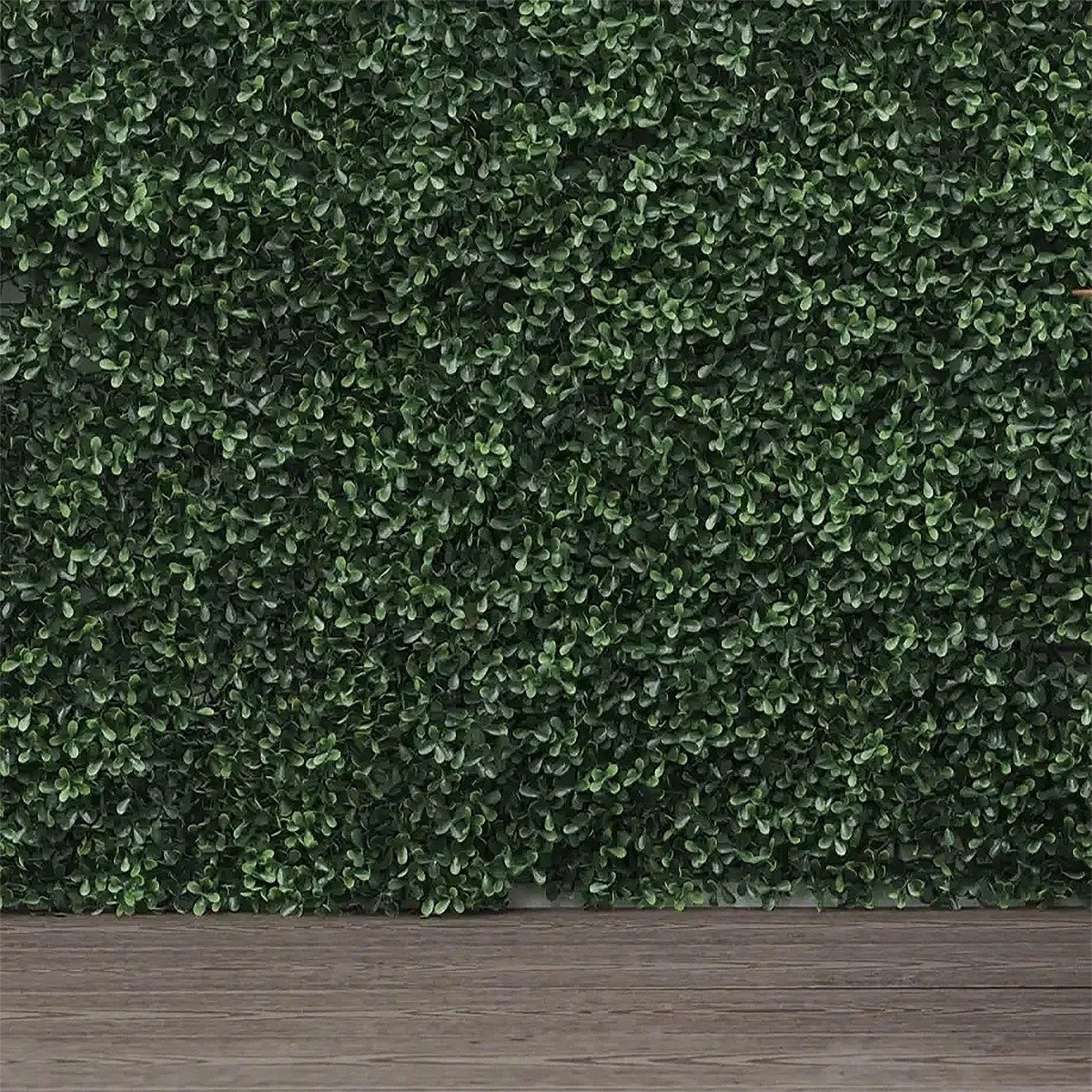 Jardin Vertical Traful Exterior 50x50cms