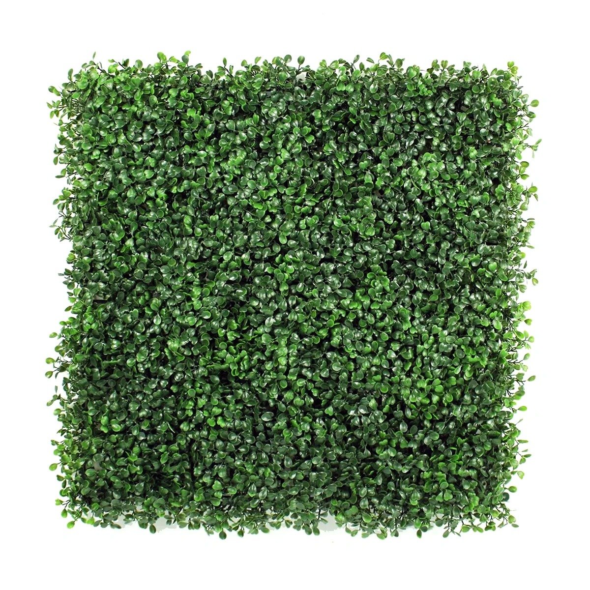 Jardin Vertical Traful Exterior 50x50cms - Image 2