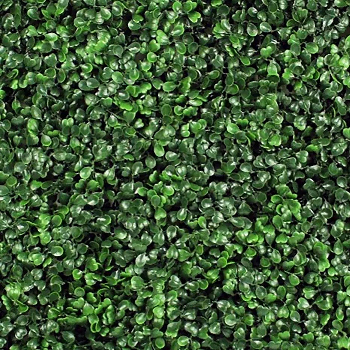 Jardin Vertical Traful Exterior 50x50cms - Image 4