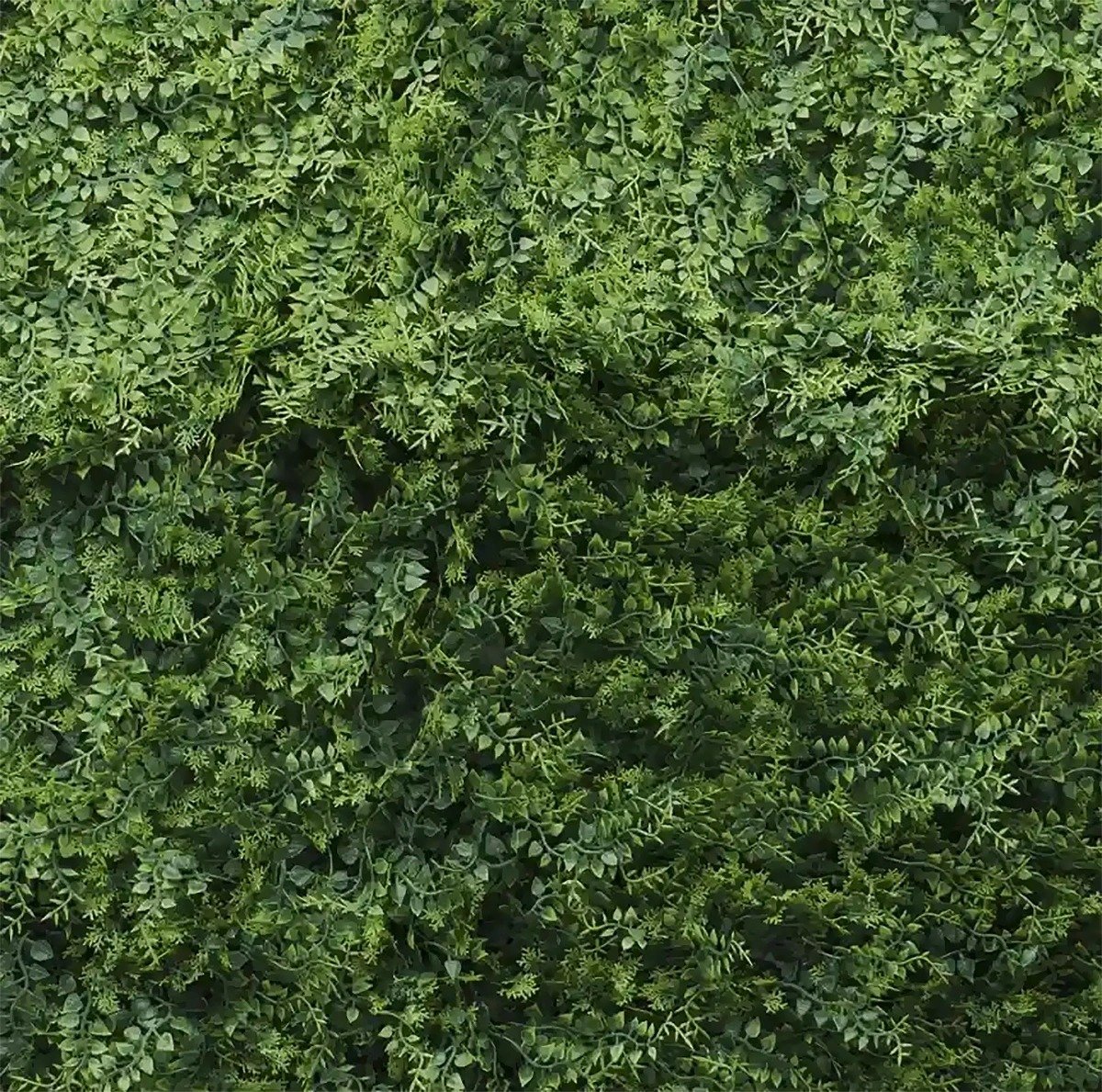 Jardin Vertical Exterior Amazonas 50x50cms - Image 2