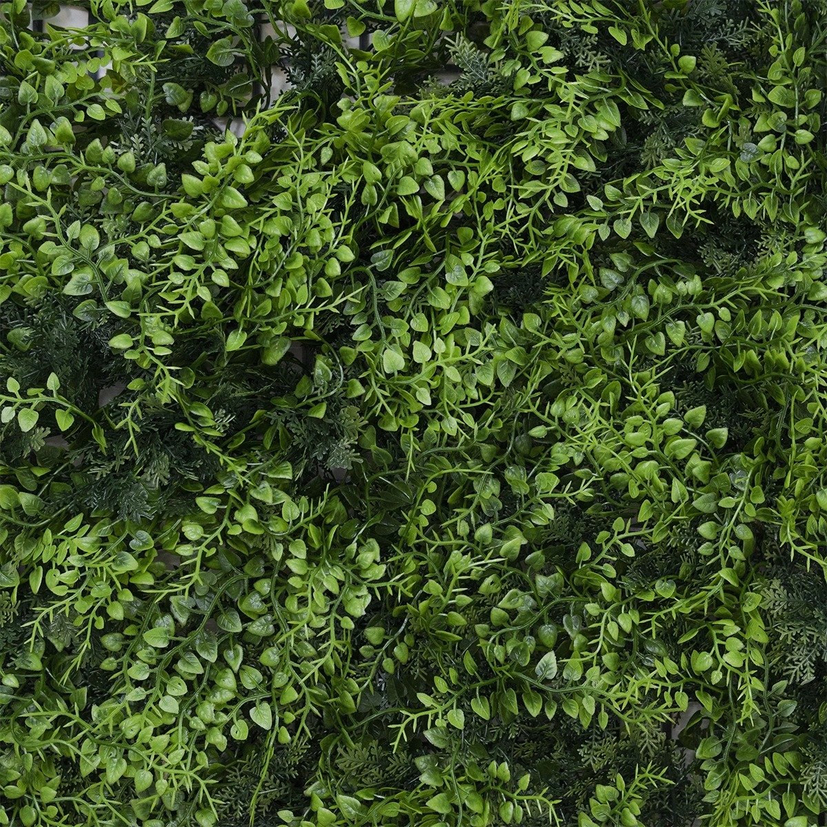 Jardin Vertical Exterior Amazonas 50x50cms - Image 3