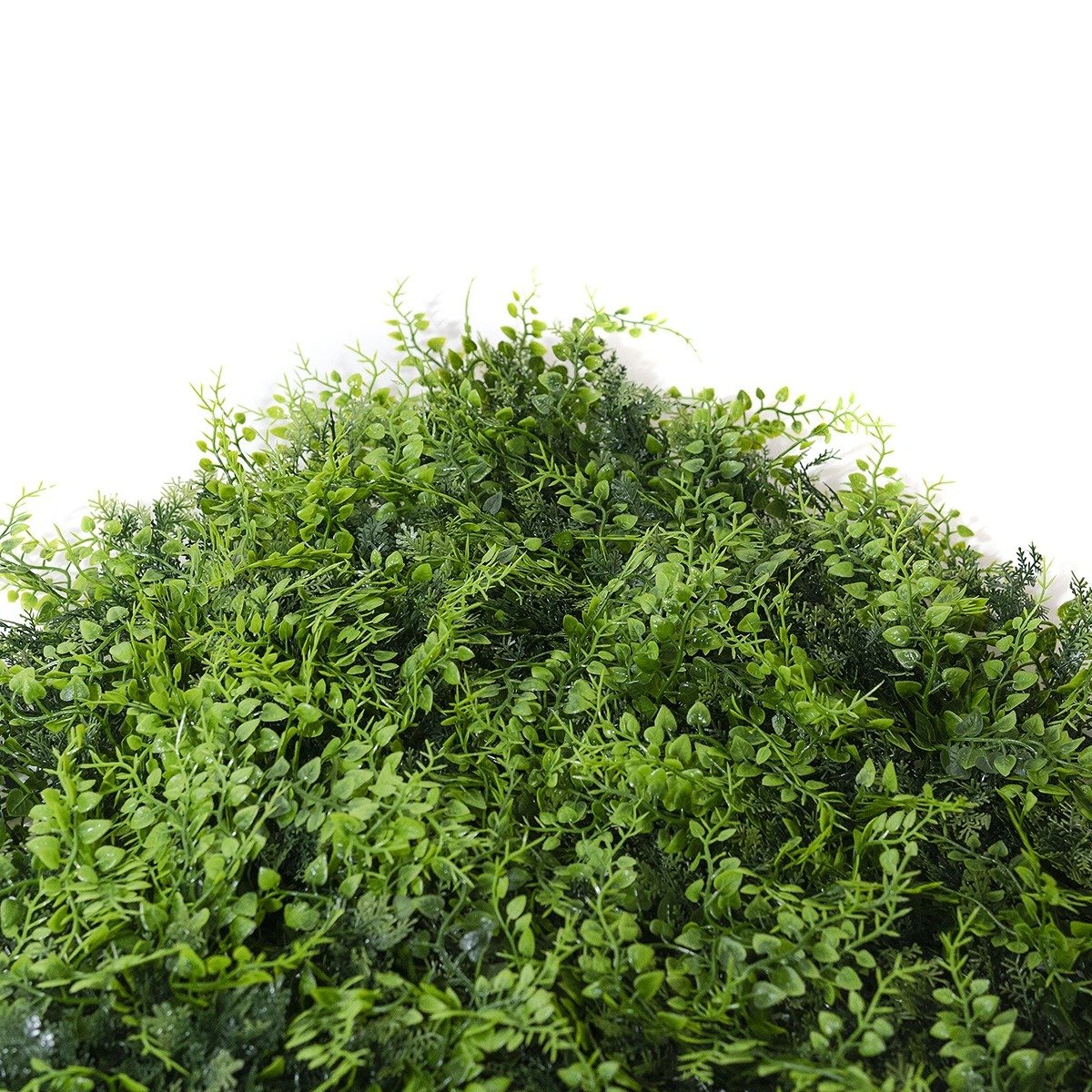 Jardin Vertical Exterior Amazonas 50x50cms - Image 4