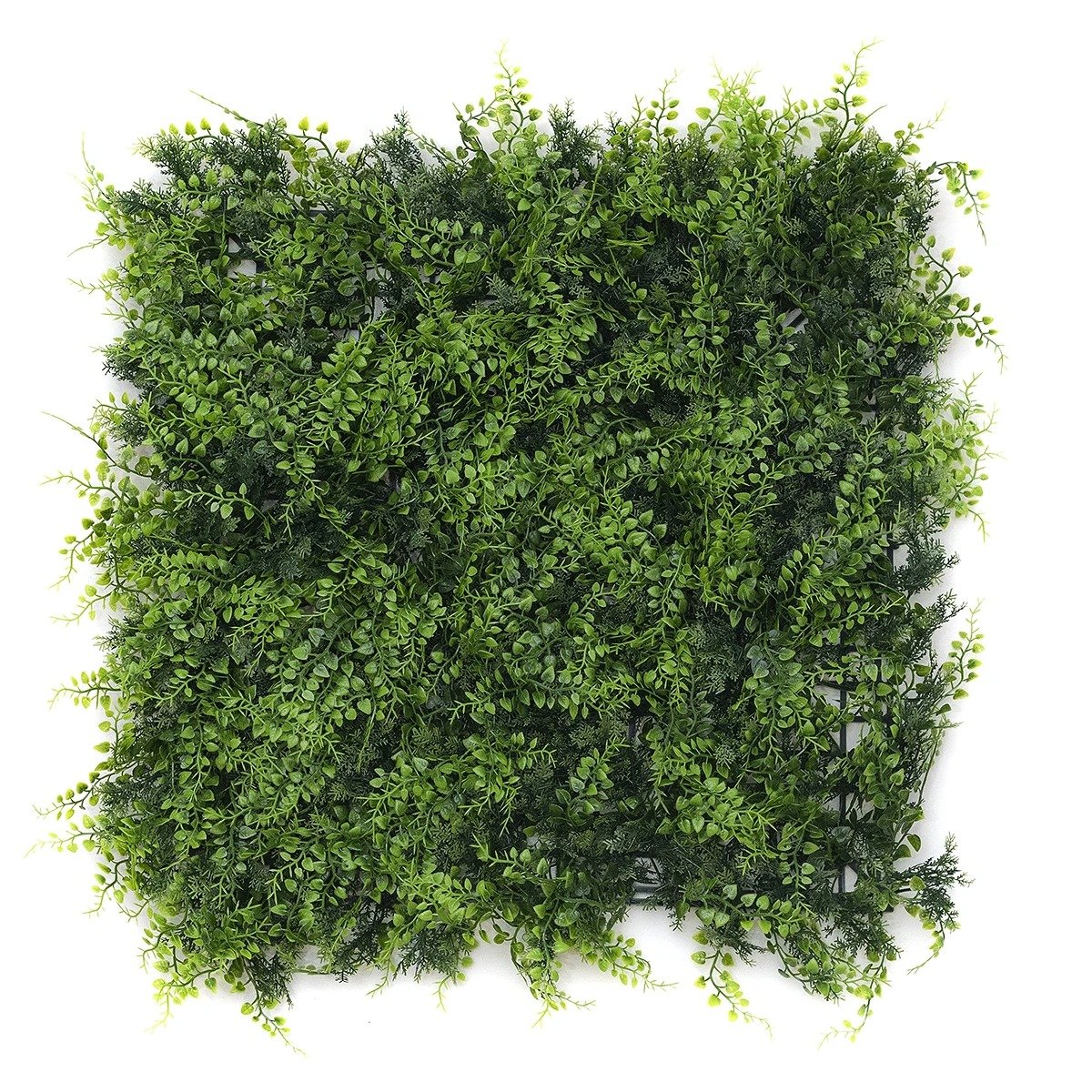 Jardin Vertical Exterior Amazonas 50x50cms - Image 5