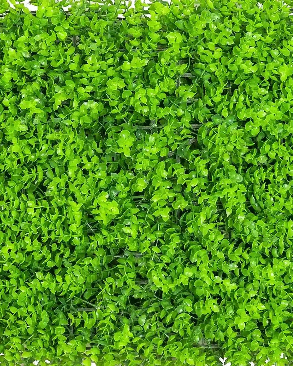 Jardin Vertical Interior Pilcomayo 60x40cms - Image 3