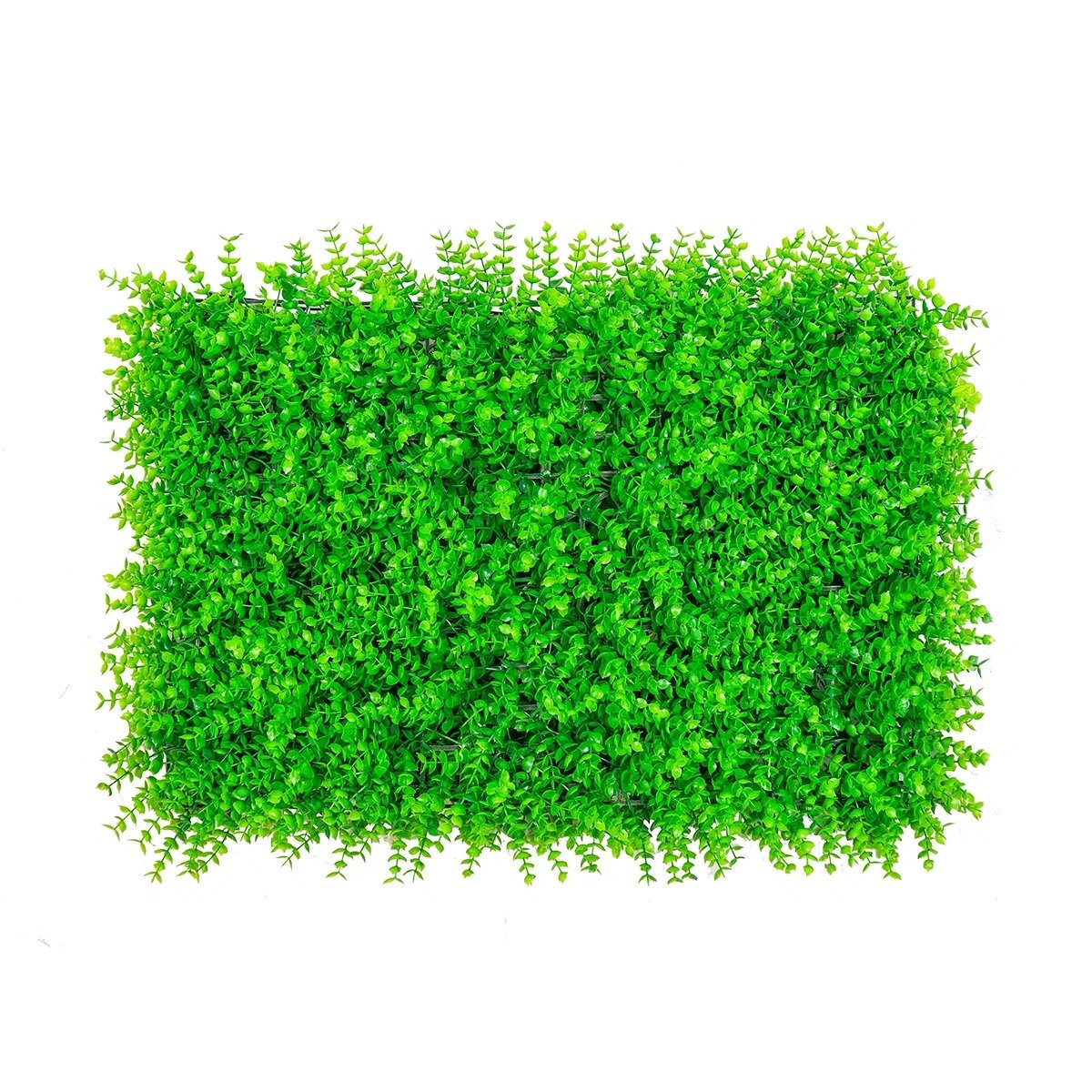 Jardin Vertical Interior Pilcomayo 60x40cms