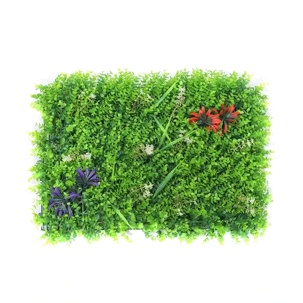 Jardin Vertical Interior Samborombom 60x40cms - Image 4